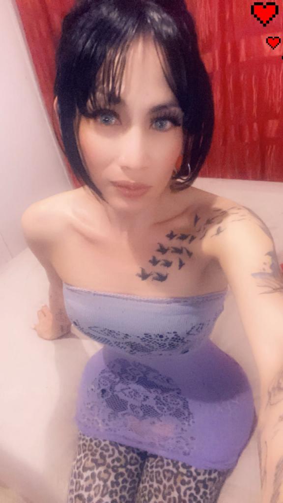 Travesti en Valladolid: Transexuales y Travestis