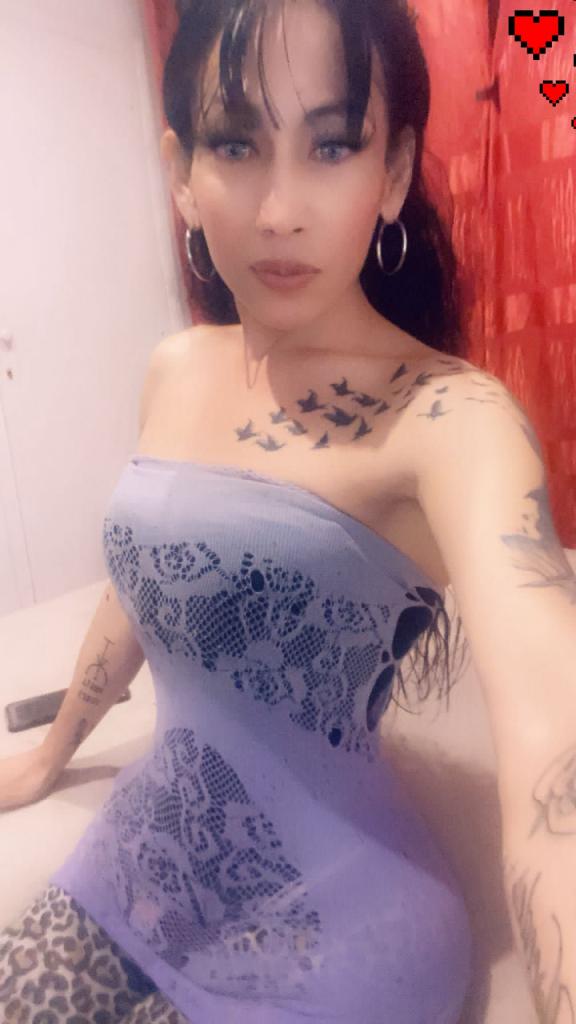 Travesti en Valladolid: 