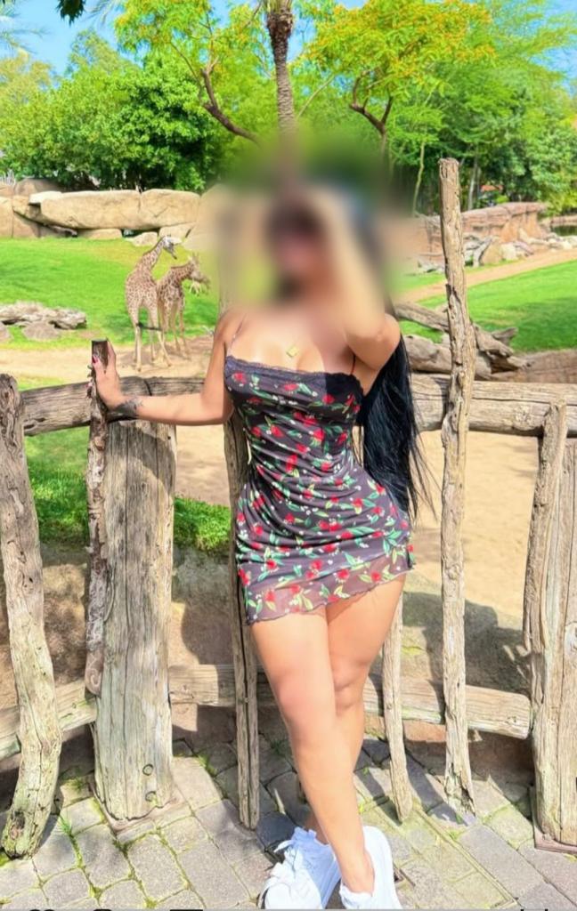 Chica busca chico en Alicante: 