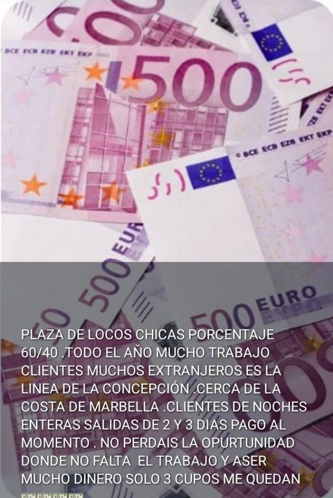 Chico busca chica en Cádiz: Chico busca chica