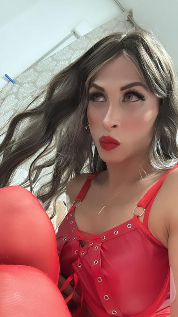 Transexual en Zaragoza: 