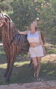 Chica busca chico en Alicante: 