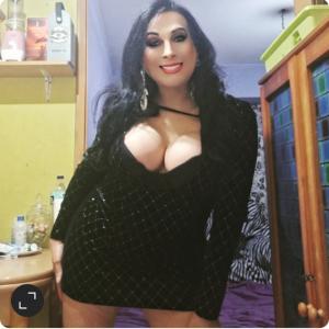 604084017: Travesti en León