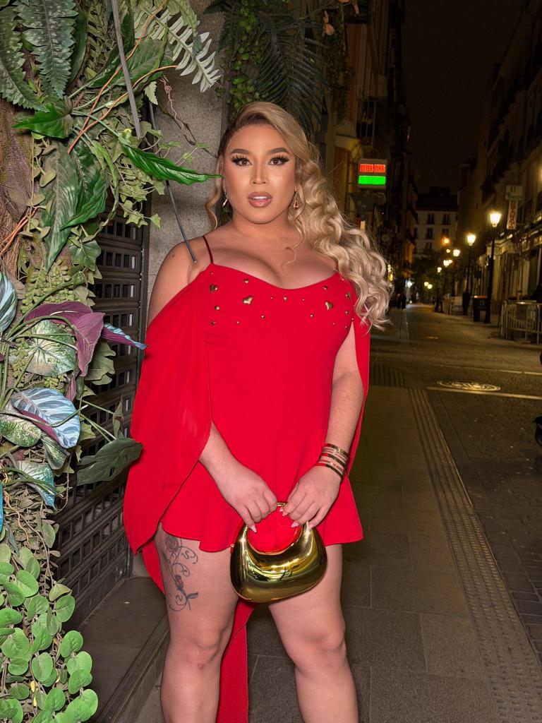 663235376: Travesti en Valencia