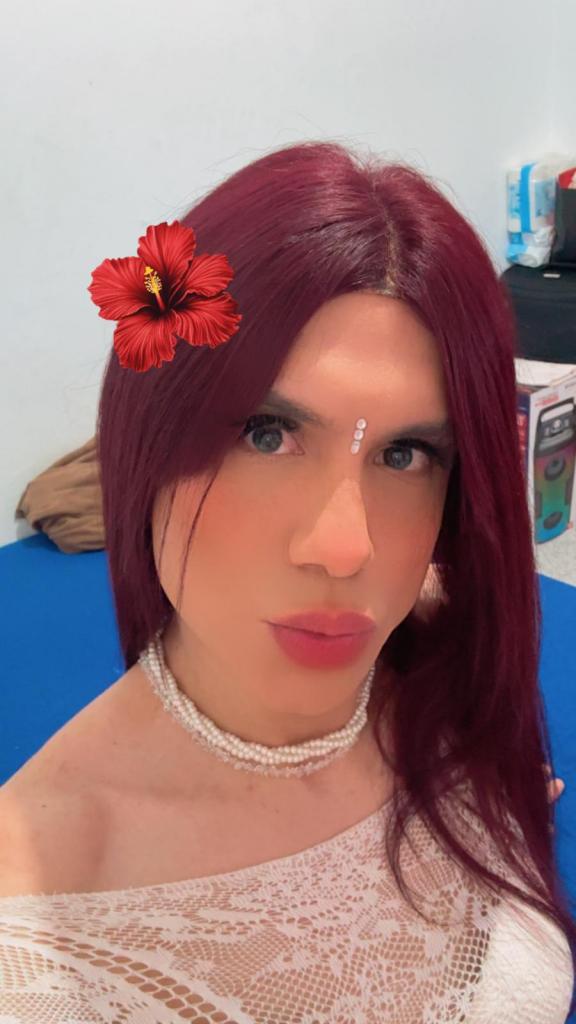 Travesti en Guipúzcoa: 