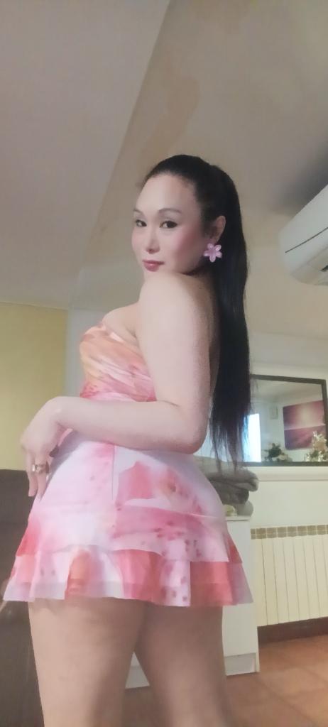 Travesti en Lérida: Transexuales y Travestis