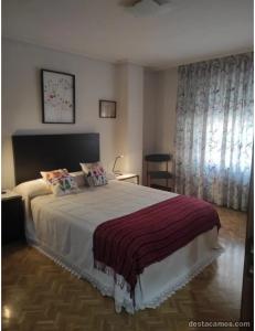Chica busca chico en Valladolid: 