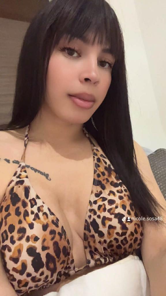 Travesti en Tarragona: 