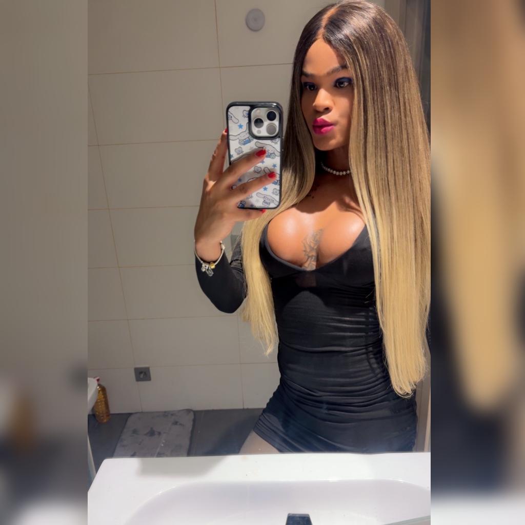 Travesti en Álava: Transexuales y Travestis