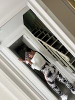 602068297: Chica busca chico en Pontevedra