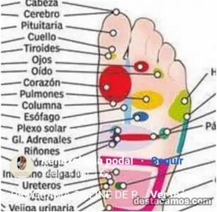 Chica busca chico en Valladolid: 