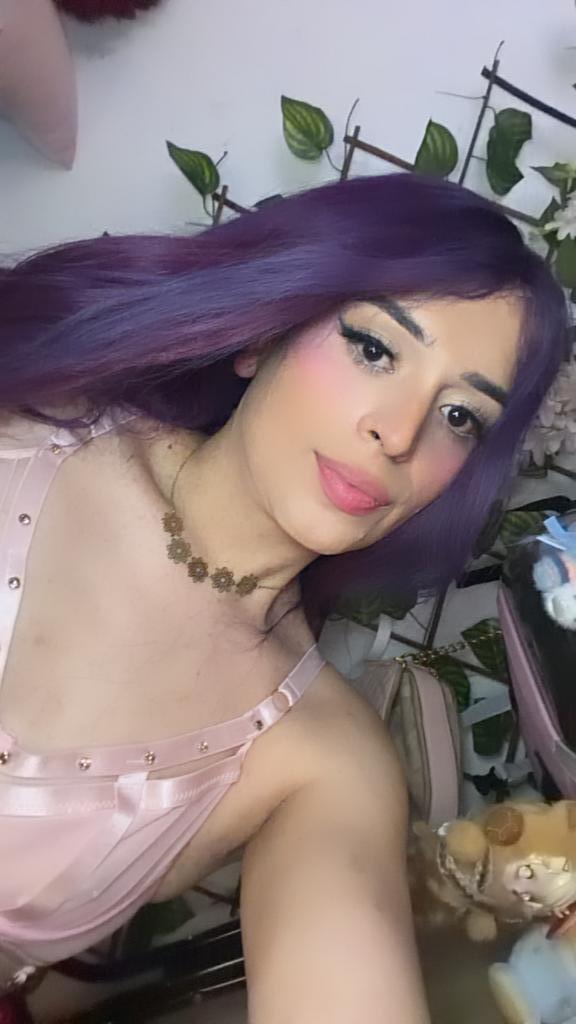Travesti en Alicante: 