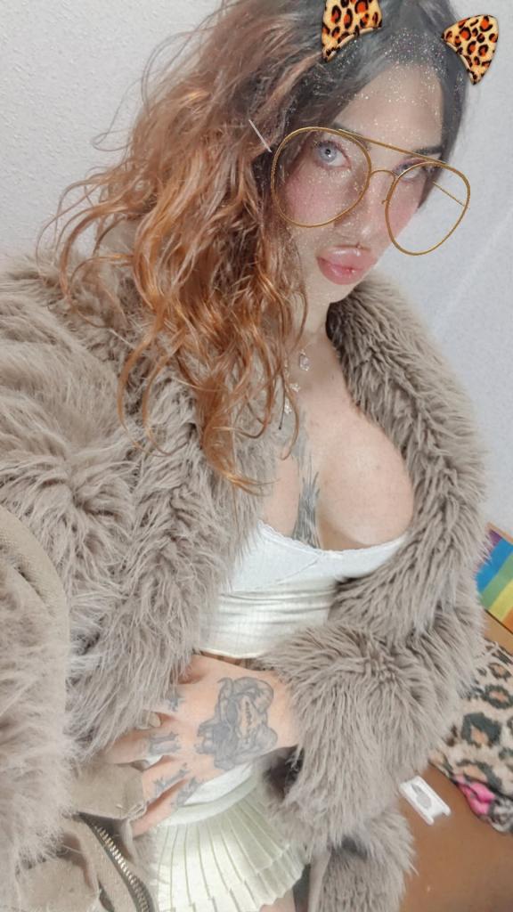 Travesti en Navarra: 