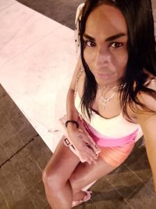 663386464: Transexual en Castellón