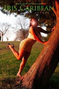 Chica busca chico en Pontevedra: 