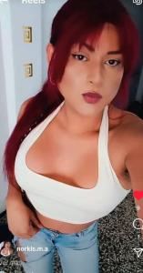 Travesti en Alicante: 