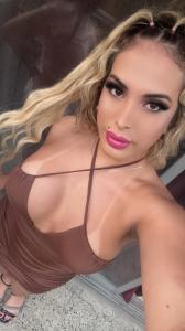 Transexual en Valencia: Transexuales y Travestis