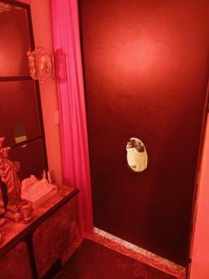 Travesti en Valencia: 