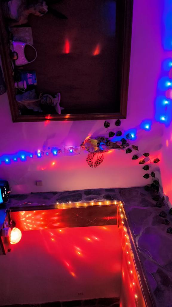 Travesti en Barcelona: 