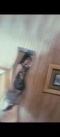 641756958: Travesti en Jaén