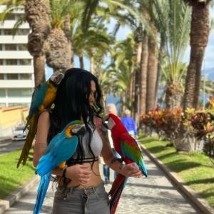 Travesti en Valladolid: 