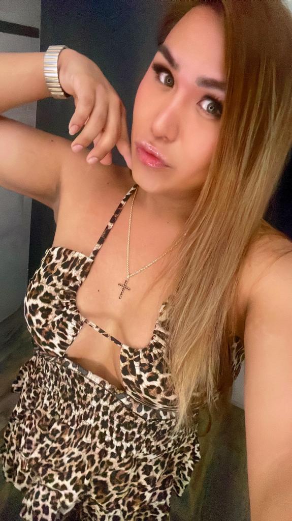 Travesti en Barcelona: Transexuales y Travestis