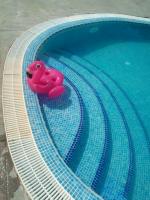 662697246: Chica busca chico en Sevilla