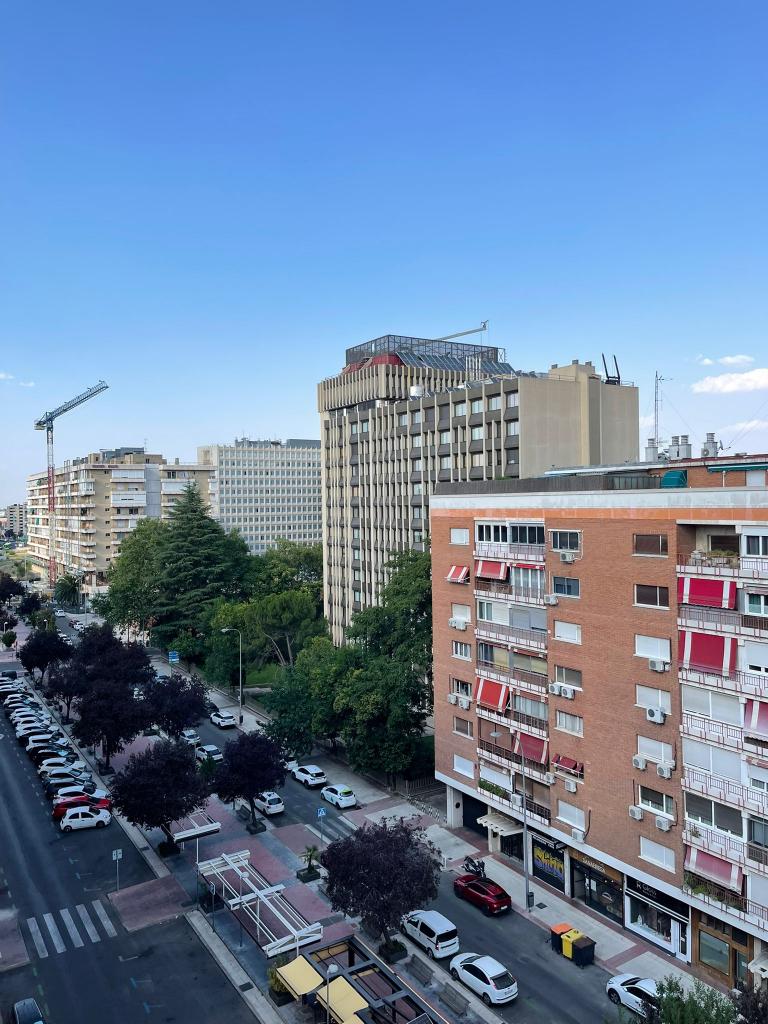 Chica busca chico en Madrid: 