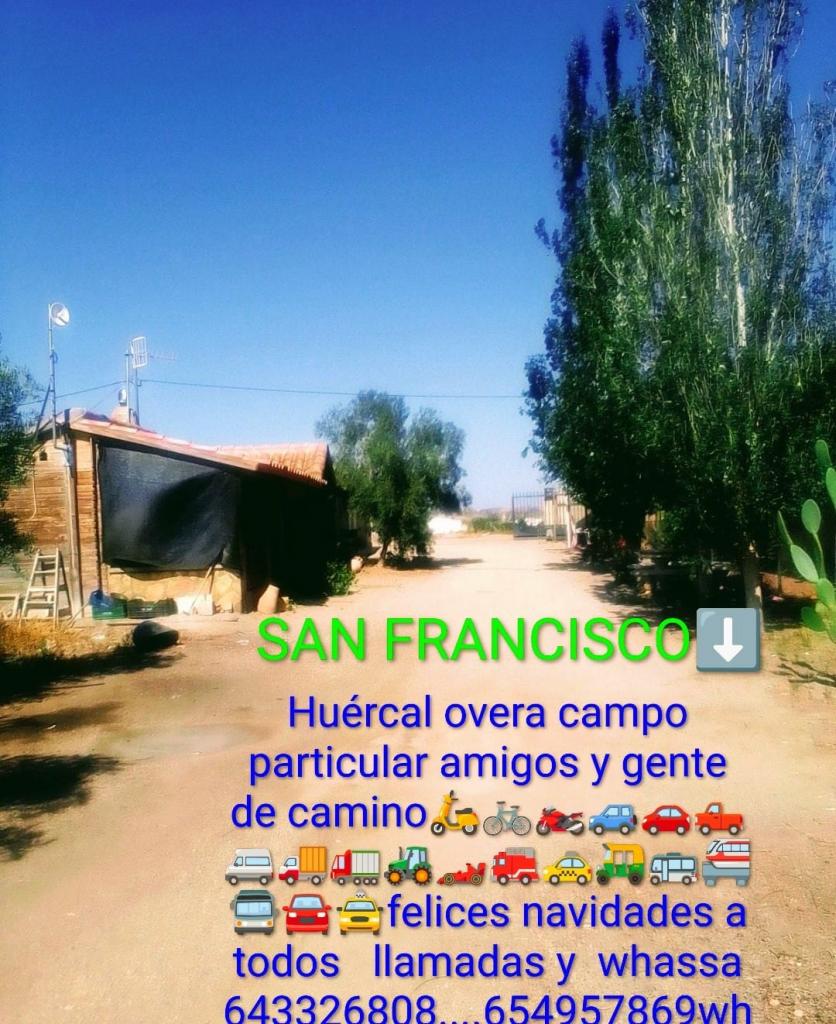 Chica busca chico en Almería: 