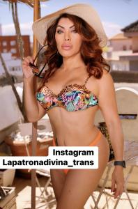 Travesti en Castellón: 