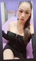 611265449: Travesti en Alicante