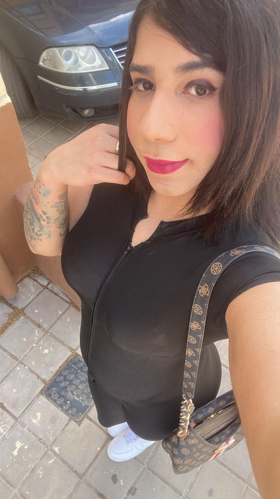 Transexual en Navarra: 