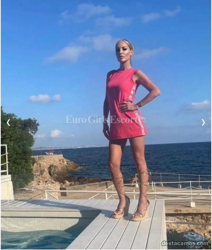 Chica busca chico en Alicante: 