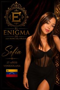 661519839: Chica busca chico en Alicante