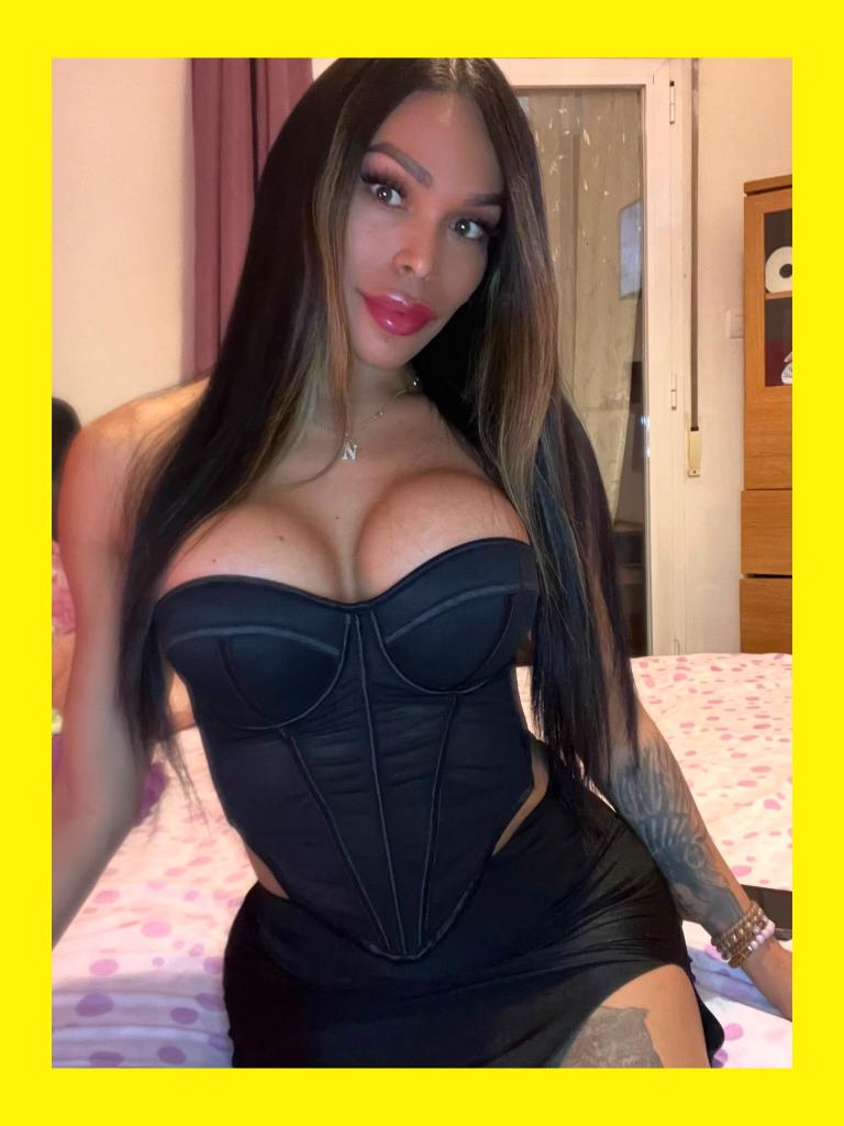 Travesti en Alicante: 